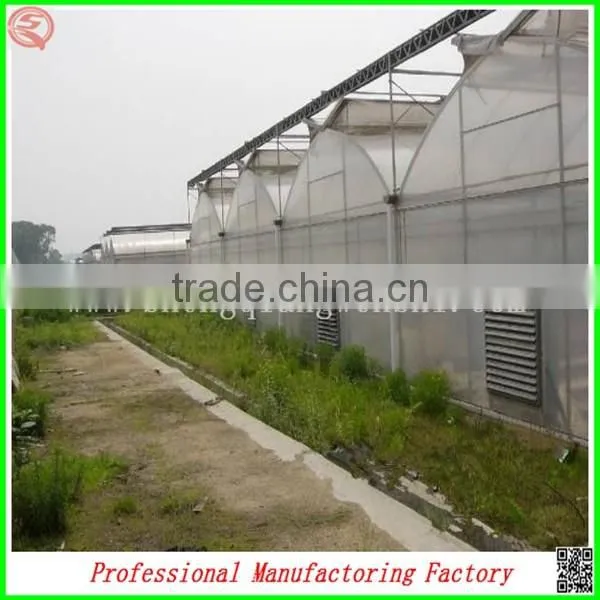 Arched Type Commercial Used Greenhouse for Potatoes for Hot Sale photo-5
