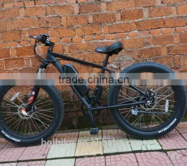 China Supplier Cheap Manufactory Price Electric Fat Bike ATV Ebike for Sale photo-5