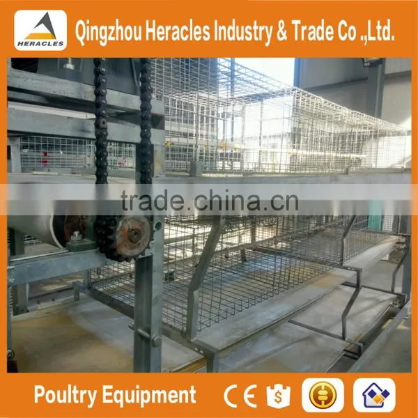 Heracles Factory Price Poultry Farming Equipment H Type Chicken Layer Cage for Sale photo-2