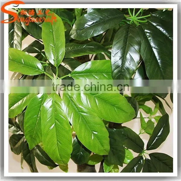 Realistic Mini Bonsai Tree Bonsai Plants for Sale photo-3