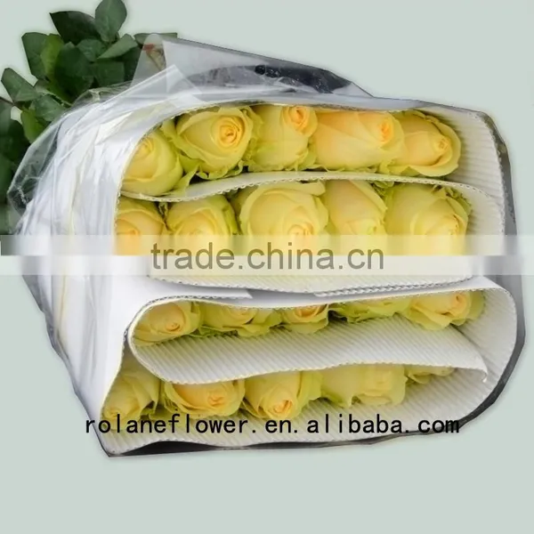 Newest Dubai Fresh Flower Importers Artificial Rose Plant Peach Avalanche Rose for Home Farms Directly Supply photo-5