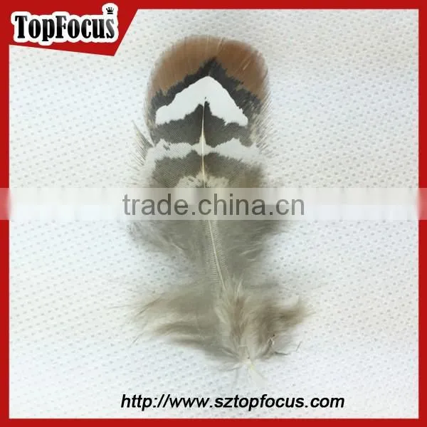 Wholesale 6-10cm White Loose Artificial Pheasant Feathers for Sale Cheap photo-6