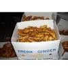 Fresh Ginger in Pvc Box