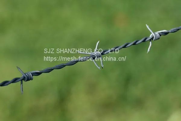 Hot Dipped Galvanized Barbed Wire Security Fence photo-2