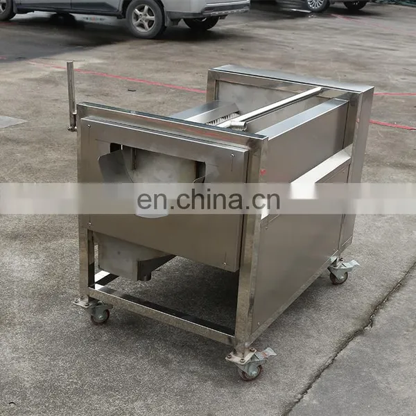 Promotional Device Indian Onion Potato Ginger Washer Vegetable Yam Peeling Machine photo-7