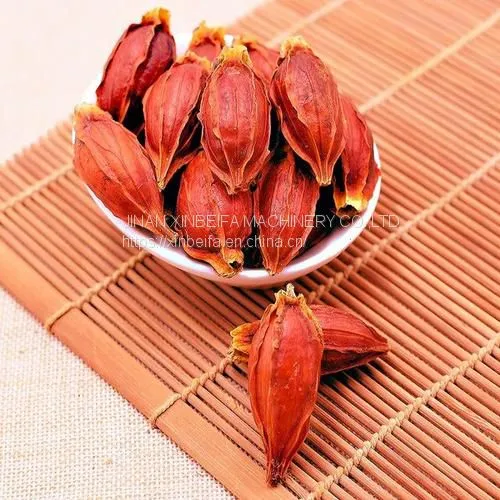 Gardenia Dried Tea Drying Oven photo-5