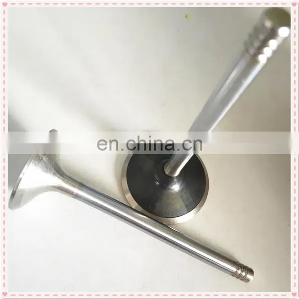 Trade Assurance Truck Parts Diesel Engine Valves For Isuzuu Giga CXZ81 10PE1 10PD1 8PC1 photo-4