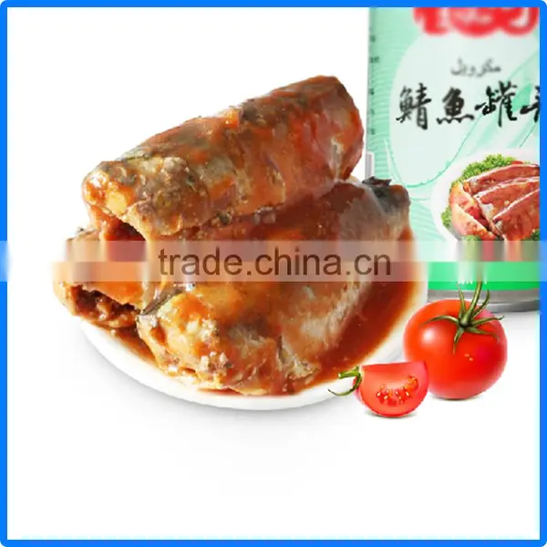 Best Quality Canned Mackerel/mackerel Canned in Oil/brine/tomato Sauce photo-2