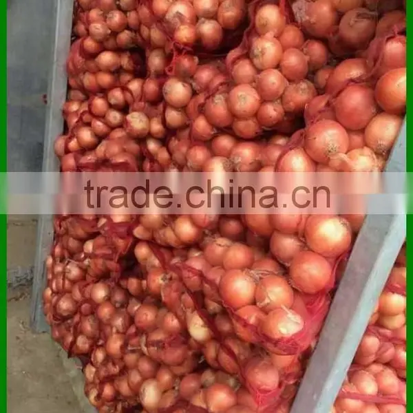 Low Price Fresh Red Onion Packing In Mesh Bag Cheap Onion photo-6