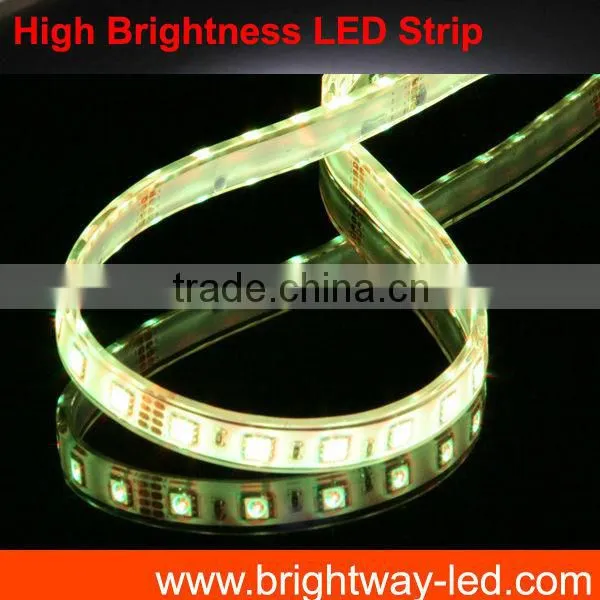 12V 60 LED 5050 Waterproof Flexible LED Strip Light for Holiday
