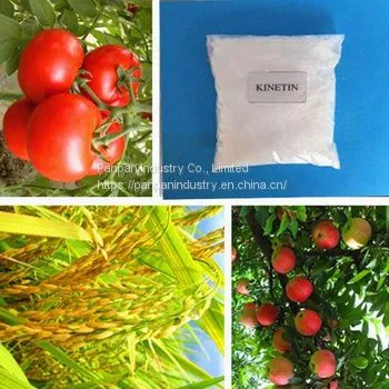 Hot Sale Agriculture Related Products 6-Furfurylaminopurine 99%TC Fertilizer Kinetin 6kt photo-2