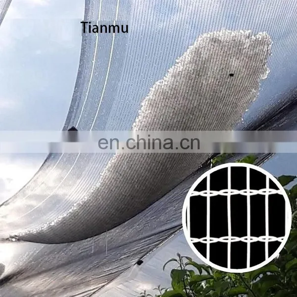 Yemen HDPE Agricultural Anti Hail Net for Fruit Tree Customized photo-2