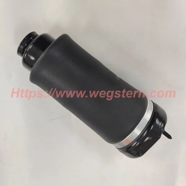 2513203113 Hot Selling Front Air Spring for Mercedes Benz R Class W251 Front LH & RH 2006-2010 photo-3