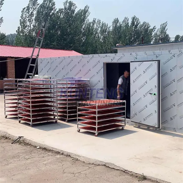 Multipurpose Vegetable Drying Machine With Trolley Dryer Mini Dry Spicy Capsicum Hot Red Cayenne Pepper Chili Chilli Machine EPC photo-4