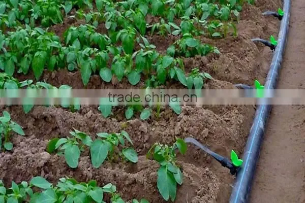 Agricultural Irrigation Hdpe Pipe Lines 2 Inch Diameter Quality Choice photo-3