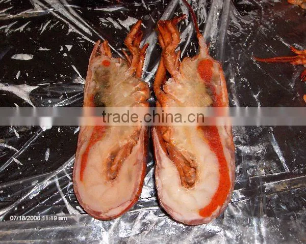Frozen Cooked/raw Canadian Lobster (homarus Americanus) photo-3