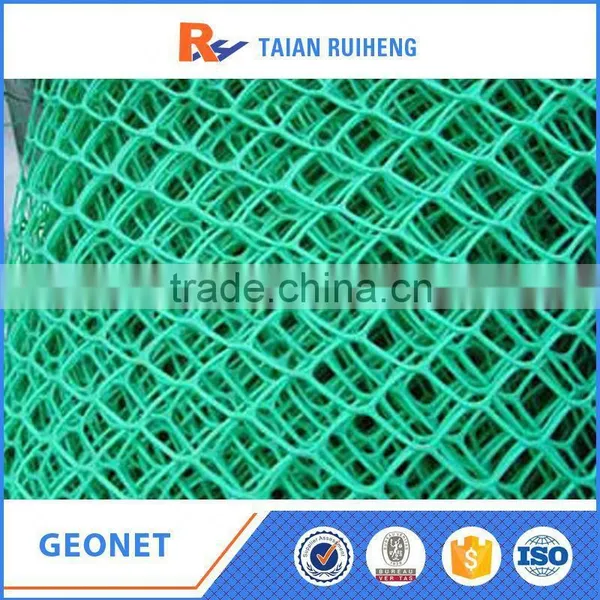 3d Thermoplastic Resin Geonet photo-2