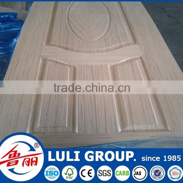 Door Skin photo-6