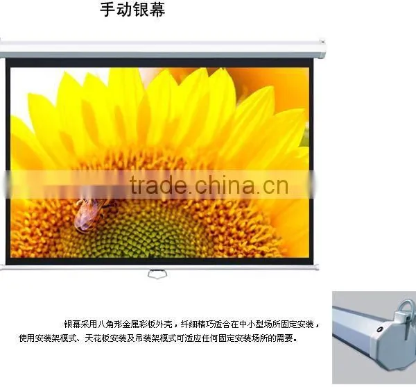 Manual Roll Up Projection Screen photo-2