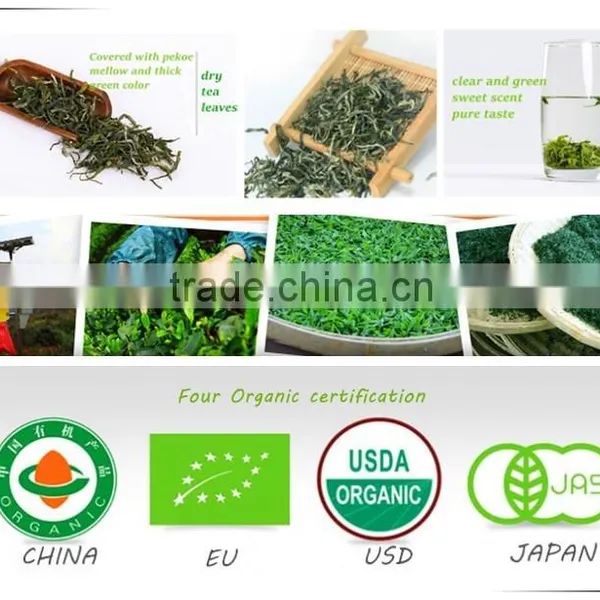 Vitamin Water----100% Natural Organic Green Tea for Australia, America ,Europe and Asia photo-4