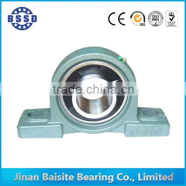 Factory Production 35 mm NTN Ucp307 Pillow Block Bearings