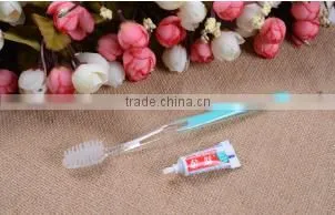 Professional OEM/ODM wholesale disposable toothbrush with paste