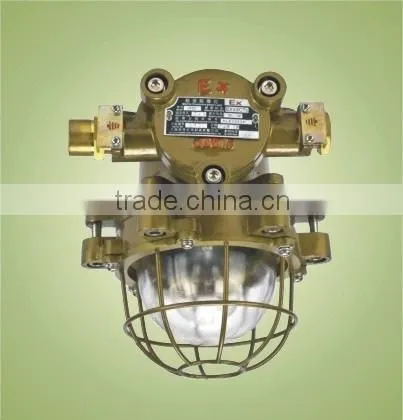 Marine Explosion-proof Light