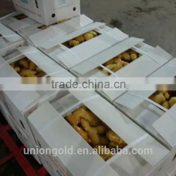 Chinese Fresh Ginger photo-2