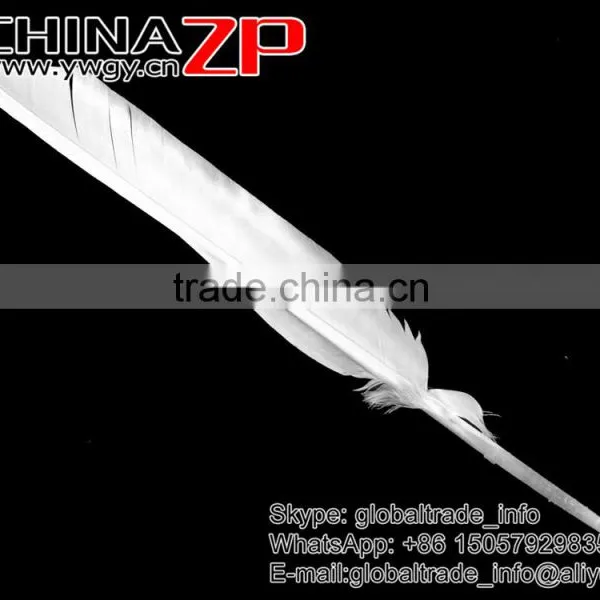 CHINAZP Plumage Supplier Bulk Natural Bleached White Turkey Pointers Quill Large Feathers for Sale photo-3