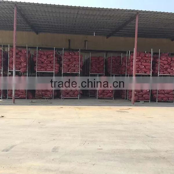 China Origin Onion Ton Market Price for Red Onion photo-3
