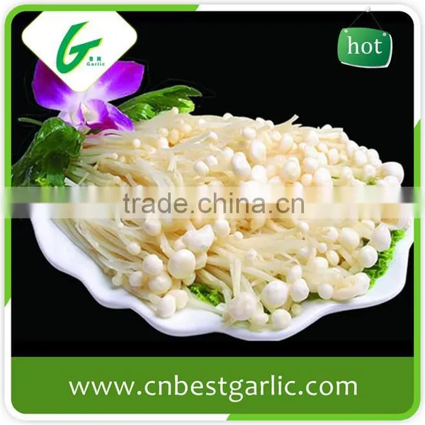 Common Canned Instant Enoki Mushroom Extract photo-3