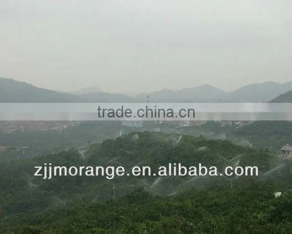 Mandarin Orange Sac photo-2