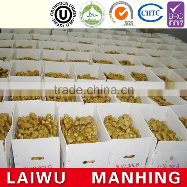 2016 Fresh Yellow China Ginger Price