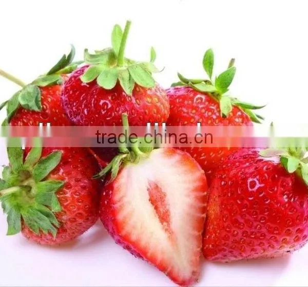 Frozen Strawberry photo-3