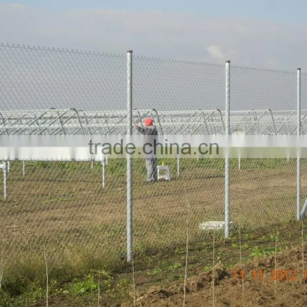 Cheap Chain Link Mesh Fence Netting/tennis Chain Wire Fencing /Chain Link Fencing /Forest Protecting Direct Factory photo-5