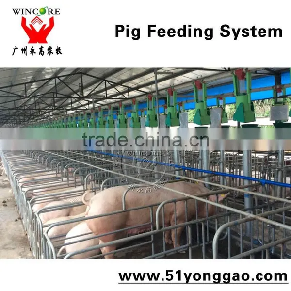Pig Gestation Crate For Pig Farm Equipment,Poultry Equipment Sow Limitation Crate photo-4