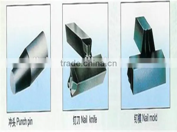 Common Iron Wire Nails Maked by Nail Machine From China Factory photo-5