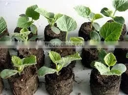 High Capacity Seed Tablet Press Machine photo-6