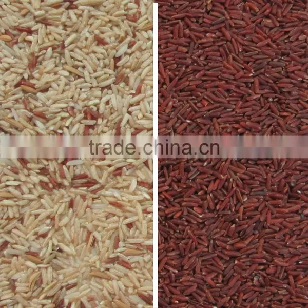 Rice Color Sorter Machine Mini Rice Color Sorter photo-5