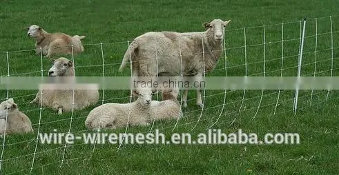Cattle Fence /Grassland Farm Fence / Farm Guard Field Fence Price photo-3