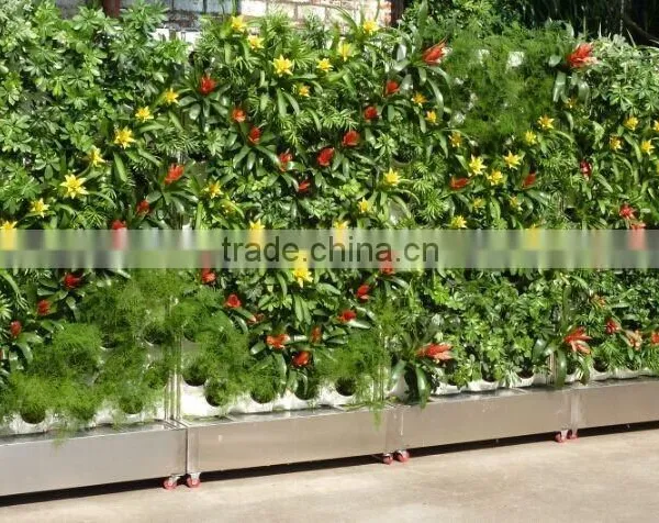 Double Sided Green Wall System for Office photo-6