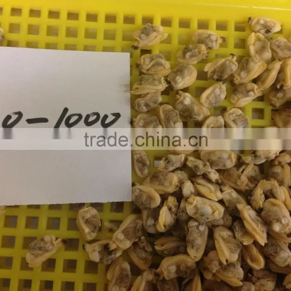 High Quality Hot Sales Frozen Short Necked Clam Meat photo-4
