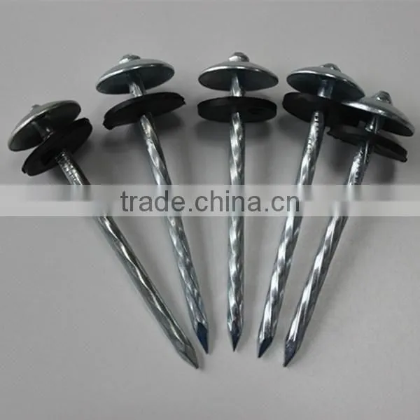 High Quality Roofing Nail From China Manufacturer photo-2