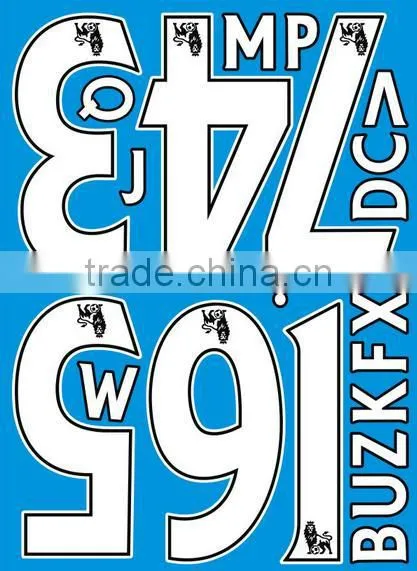Eco-friendly Ink Resistant Plastisol/Screen Printing Heat Transfer Stickers Iron On Clothing With Custom Pattern photo-6