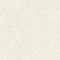 Polished Tiles,ceramic Tiles X8941