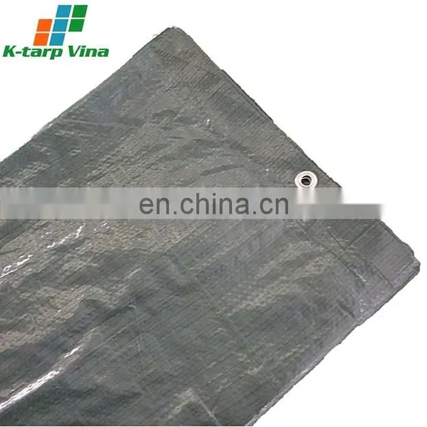 68GSM - OLIVE GREEN/ROYAL BLUE TARP photo-2