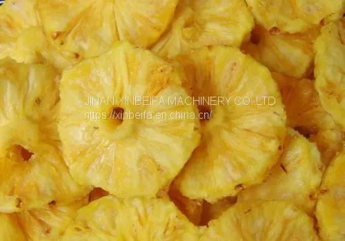 Pineapple Slice Drying Machine photo-4
