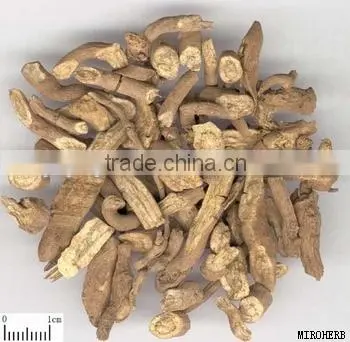 100% Natural Costus Root Oil Cultivated With Best Exported photo-4