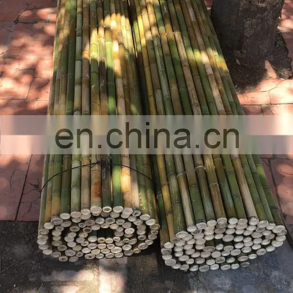 Top A Grade Best Selling Traditional Raw Bamboo Cheapest Price Custom Size for Making Chair Table From Distributor in Viet Nam photo-2