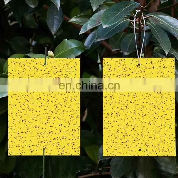 Gelbe Klebrige Falle Piege Collant Jaune Gelbe Klebrige Falle Armadilha Pegajosa Amarela Greenhouse Fly Trap photo-4